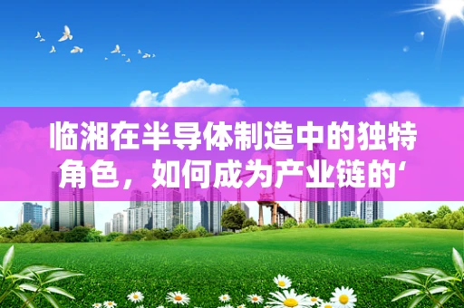 临湘在半导体制造中的独特角色，如何成为产业链的‘隐形冠军’？