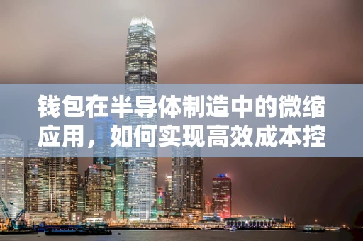 钱包在半导体制造中的微缩应用，如何实现高效成本控制？