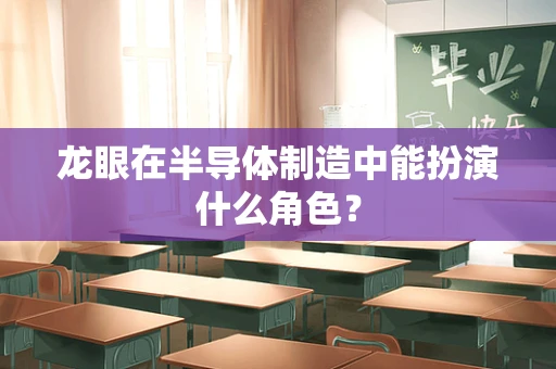龙眼在半导体制造中能扮演什么角色？