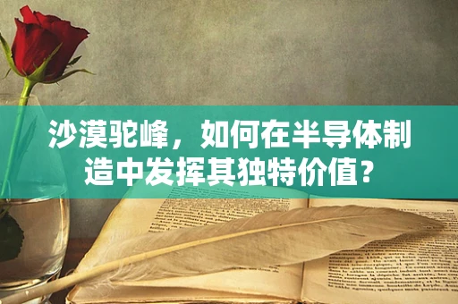 沙漠驼峰，如何在半导体制造中发挥其独特价值？
