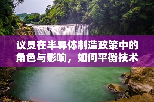 议员在半导体制造政策中的角色与影响，如何平衡技术创新与国家安全？