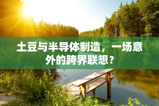 土豆与半导体制造，一场意外的跨界联想？