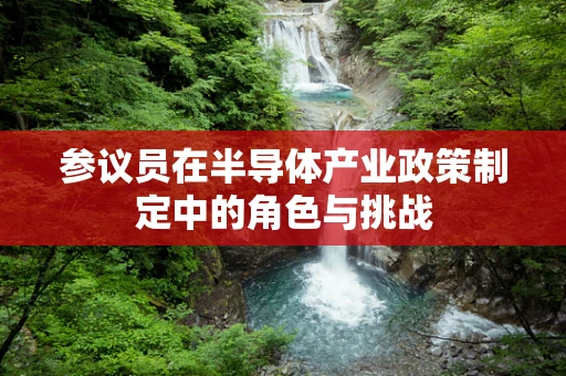 参议员在半导体产业政策制定中的角色与挑战