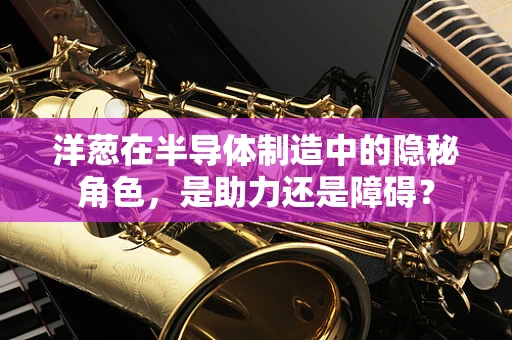 洋葱在半导体制造中的隐秘角色，是助力还是障碍？
