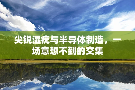 尖锐湿疣与半导体制造，一场意想不到的交集