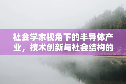 社会学家视角下的半导体产业，技术创新与社会结构的互动