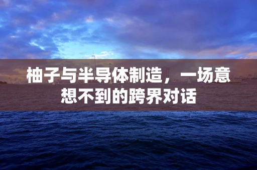 柚子与半导体制造，一场意想不到的跨界对话