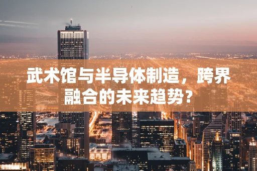 武术馆与半导体制造，跨界融合的未来趋势？