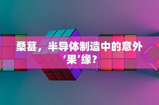 桑葚，半导体制造中的意外‘果’缘？