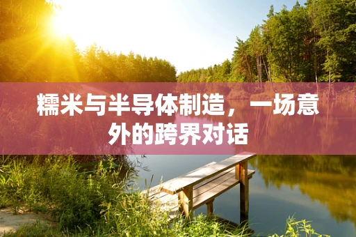 糯米与半导体制造，一场意外的跨界对话