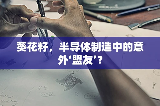 葵花籽，半导体制造中的意外‘盟友’？