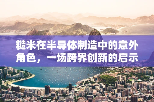 糙米在半导体制造中的意外角色，一场跨界创新的启示