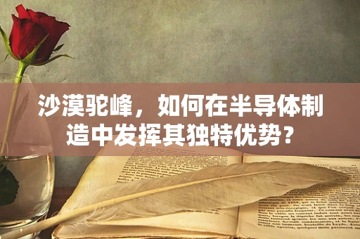 沙漠驼峰，如何在半导体制造中发挥其独特优势？