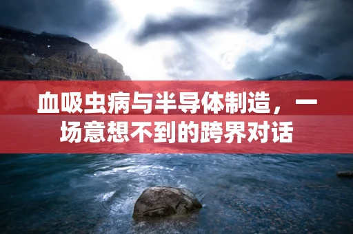 血吸虫病与半导体制造，一场意想不到的跨界对话