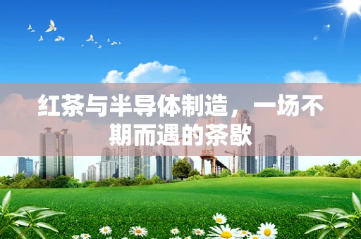 红茶与半导体制造，一场不期而遇的茶歇