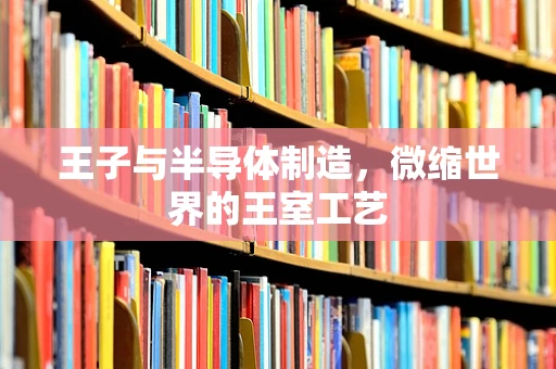 王子与半导体制造，微缩世界的王室工艺