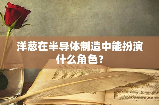 洋葱在半导体制造中能扮演什么角色？