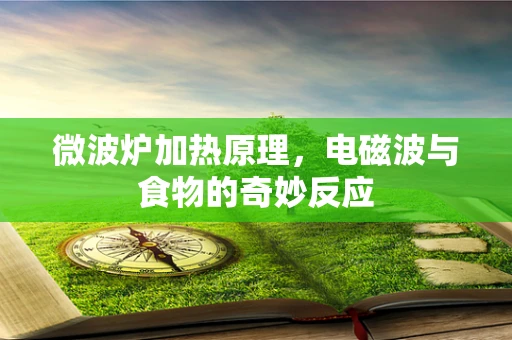 微波炉加热原理，电磁波与食物的奇妙反应