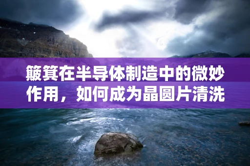 簸箕在半导体制造中的微妙作用，如何成为晶圆片清洗的隐形英雄？