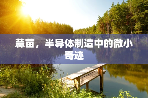 蒜苗，半导体制造中的微小奇迹