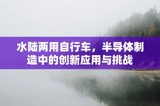 水陆两用自行车，半导体制造中的创新应用与挑战