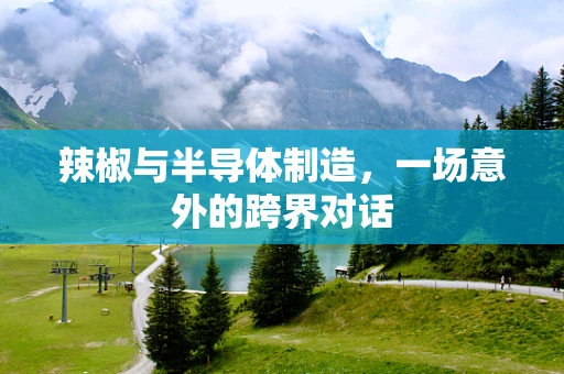 辣椒与半导体制造，一场意外的跨界对话
