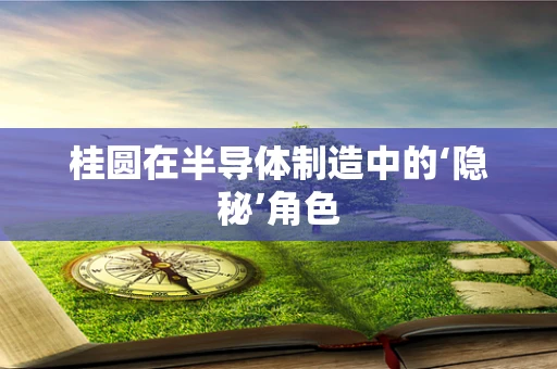 桂圆在半导体制造中的‘隐秘’角色