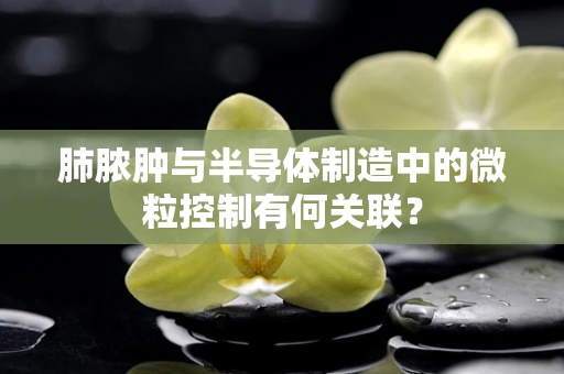 肺脓肿与半导体制造中的微粒控制有何关联？
