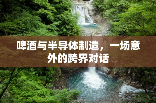 啤酒与半导体制造，一场意外的跨界对话
