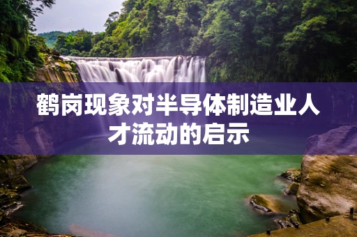 鹤岗现象对半导体制造业人才流动的启示
