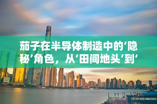茄子在半导体制造中的‘隐秘’角色，从‘田间地头’到‘芯片工厂’的奇妙之旅？