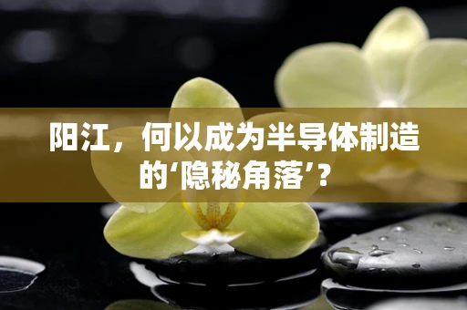 阳江，何以成为半导体制造的‘隐秘角落’？