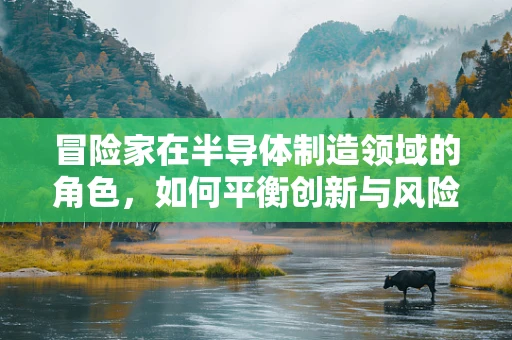 冒险家在半导体制造领域的角色，如何平衡创新与风险？