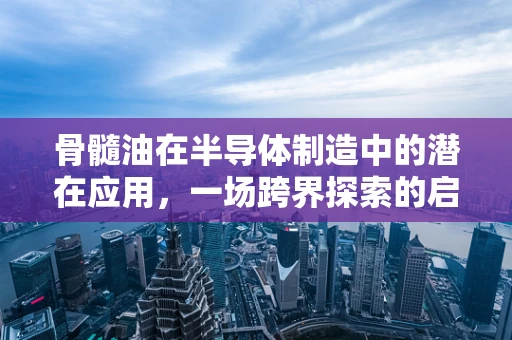 骨髓油在半导体制造中的潜在应用，一场跨界探索的启航？