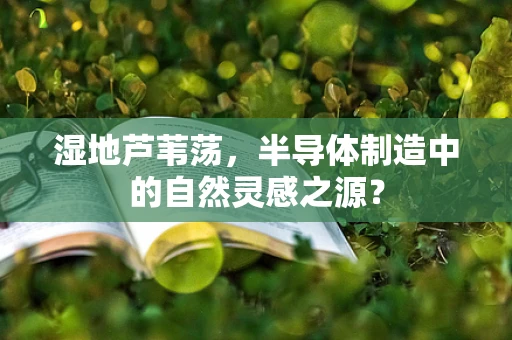 湿地芦苇荡，半导体制造中的自然灵感之源？