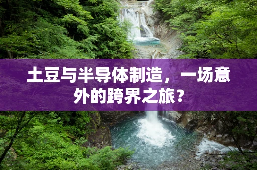 土豆与半导体制造，一场意外的跨界之旅？