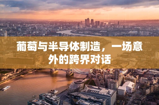 葡萄与半导体制造，一场意外的跨界对话