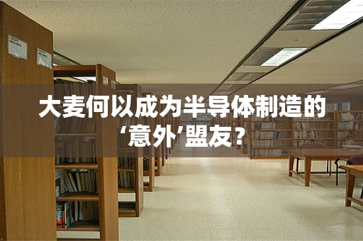 大麦何以成为半导体制造的‘意外’盟友？