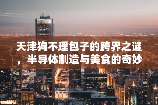 天津狗不理包子的跨界之谜，半导体制造与美食的奇妙融合