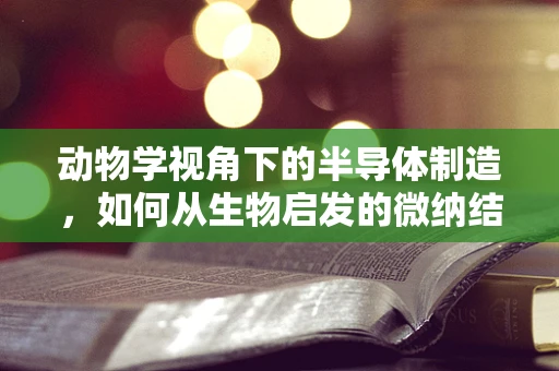 动物学视角下的半导体制造，如何从生物启发的微纳结构提升器件性能？