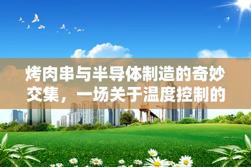 烤肉串与半导体制造的奇妙交集，一场关于温度控制的微妙平衡