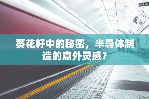 葵花籽中的秘密，半导体制造的意外灵感？