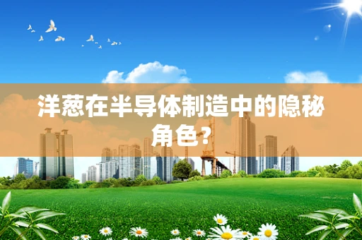 洋葱在半导体制造中的隐秘角色？