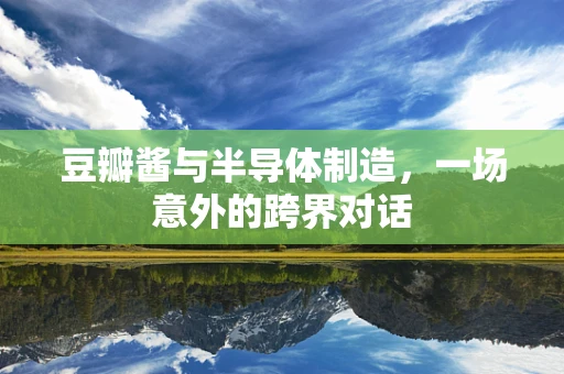 豆瓣酱与半导体制造，一场意外的跨界对话