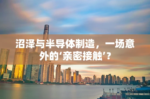 沼泽与半导体制造，一场意外的‘亲密接触’？