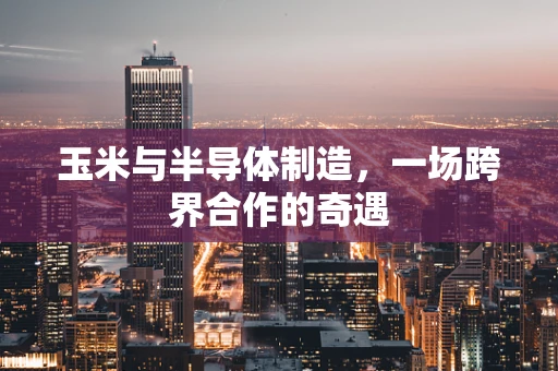 玉米与半导体制造，一场跨界合作的奇遇