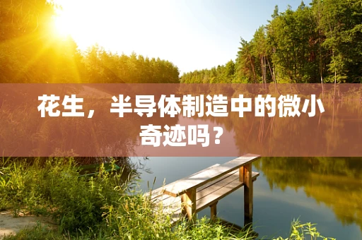 花生，半导体制造中的微小奇迹吗？