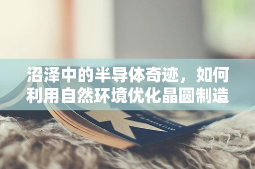 沼泽中的半导体奇迹，如何利用自然环境优化晶圆制造？