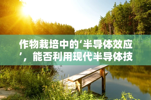 作物栽培中的‘半导体效应’，能否利用现代半导体技术优化植物生长？