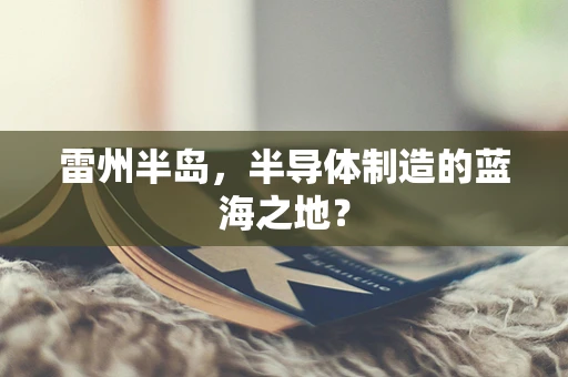 雷州半岛，半导体制造的蓝海之地？